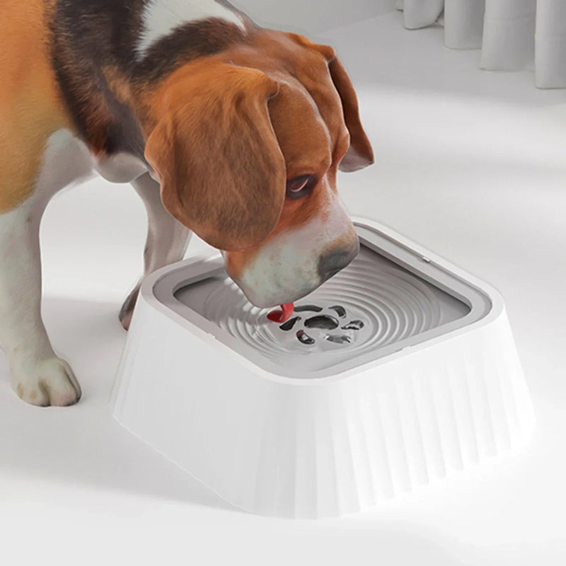 Pet Water Fountain