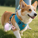 Pet Water Bottle Round