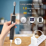 Electric Toothbrush II